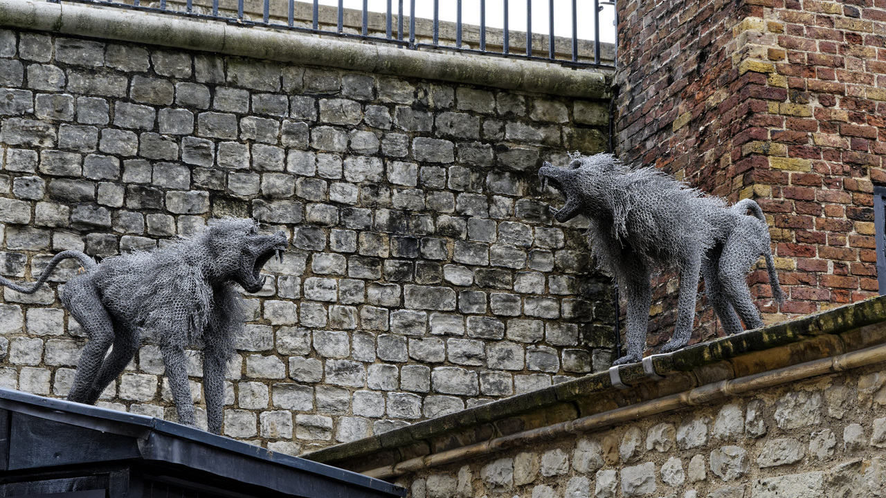 20230723 110640••London•England•UK